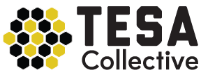 Toolbox TESA logo
